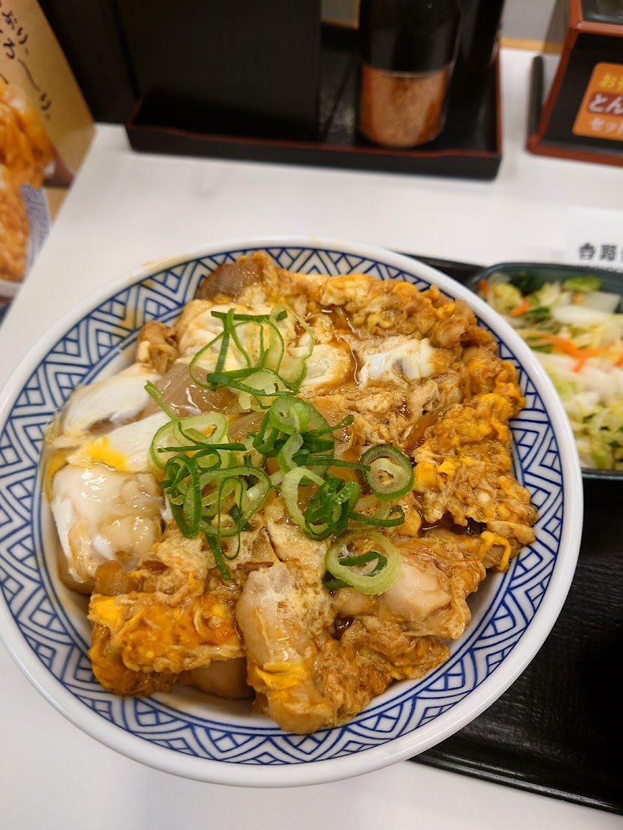 Yoshinoya Sagamihara-8